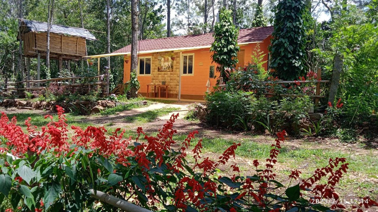 Farmer Homestay Yercaud Exteriér fotografie