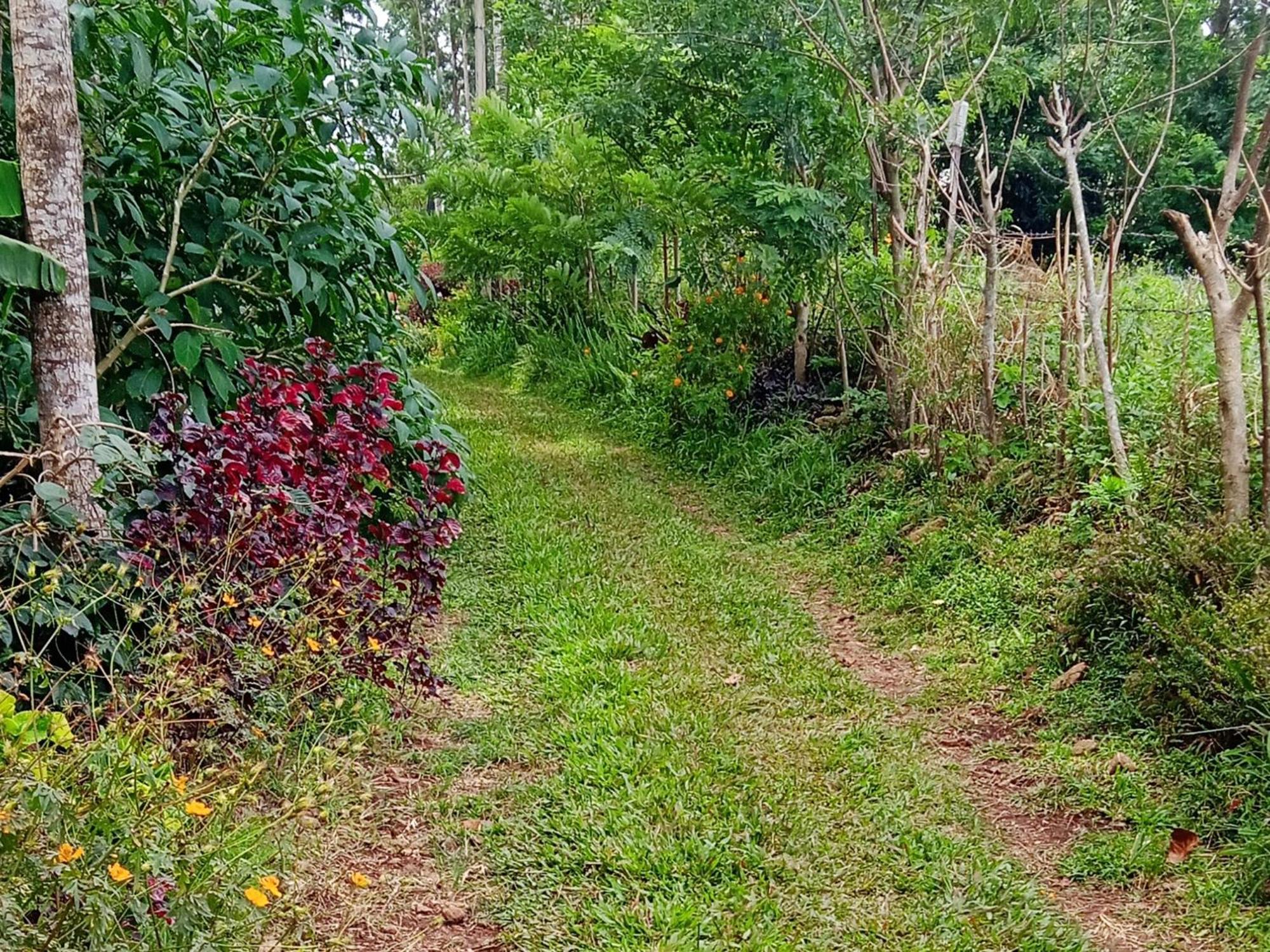 Farmer Homestay Yercaud Exteriér fotografie